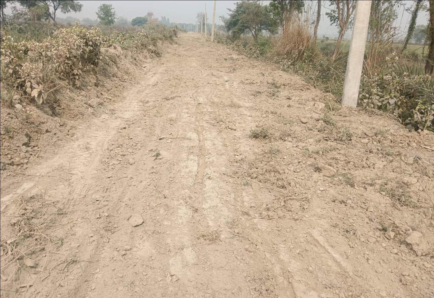 निविदा जारी होने के बाद शुरू हुआ लठियां मुंगेसर- भरथियां मार्ग का निर्माण।संवाद