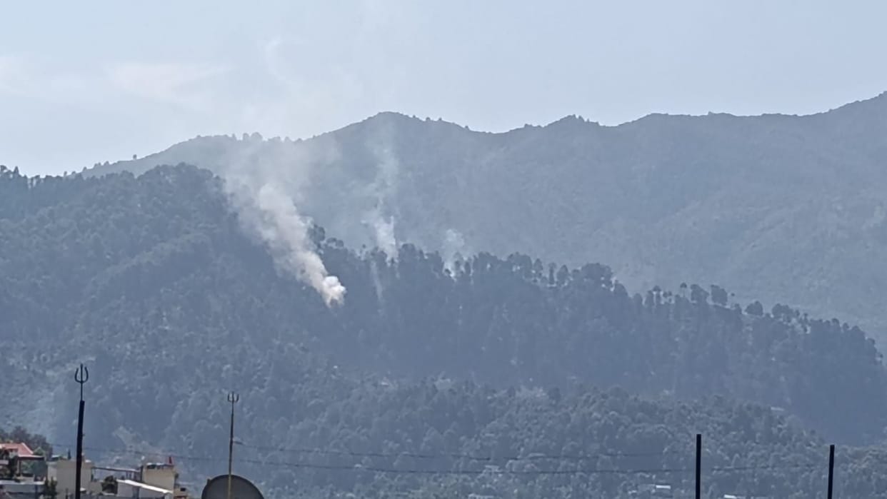 Fire broke out in the Bamandhaun forest of Thalkedar.