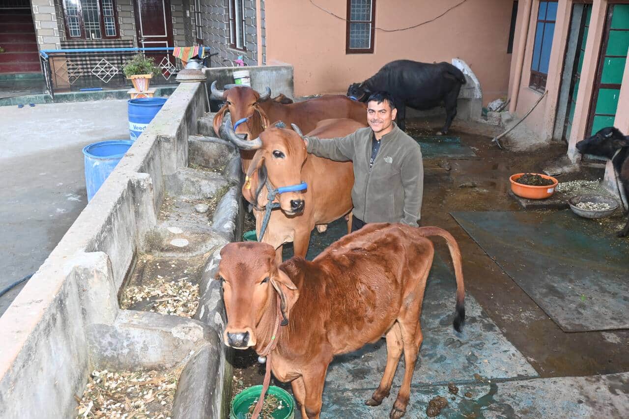 धमतल जुखाला के किसान रवि दत्त अपने पशुओं के साथ। स्रोत: डीपीआरओ