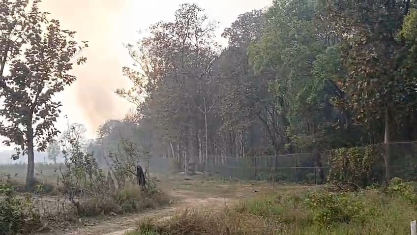 Forest fire near Rangeripurwa, villagers extinguished the fire
