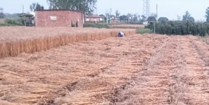 Department Issues Orange Alert in Haryana New Western Disturbance to Become Active from April 7