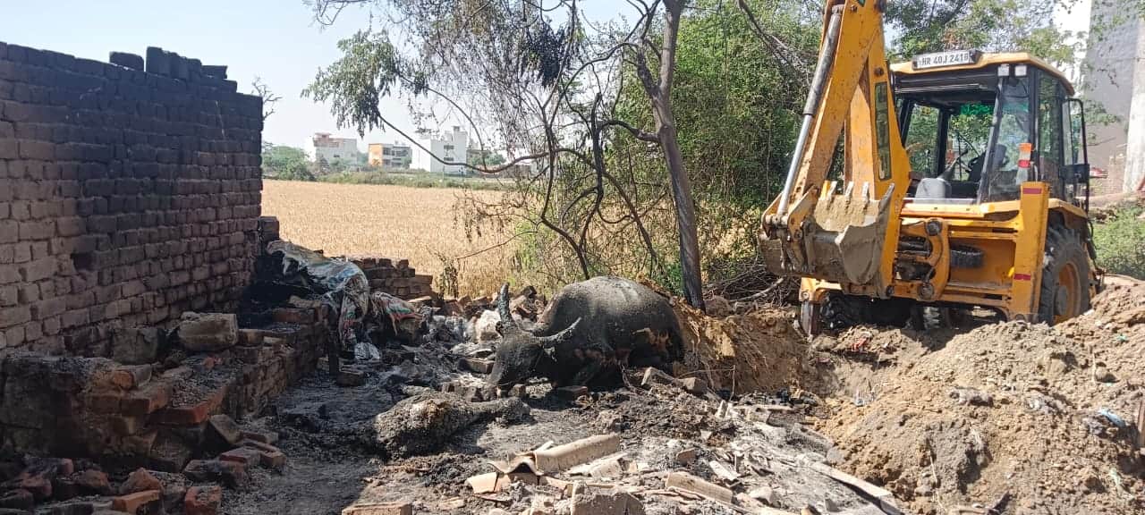 बाड़े में आग लगने के बाद का दृश्य। संवाद