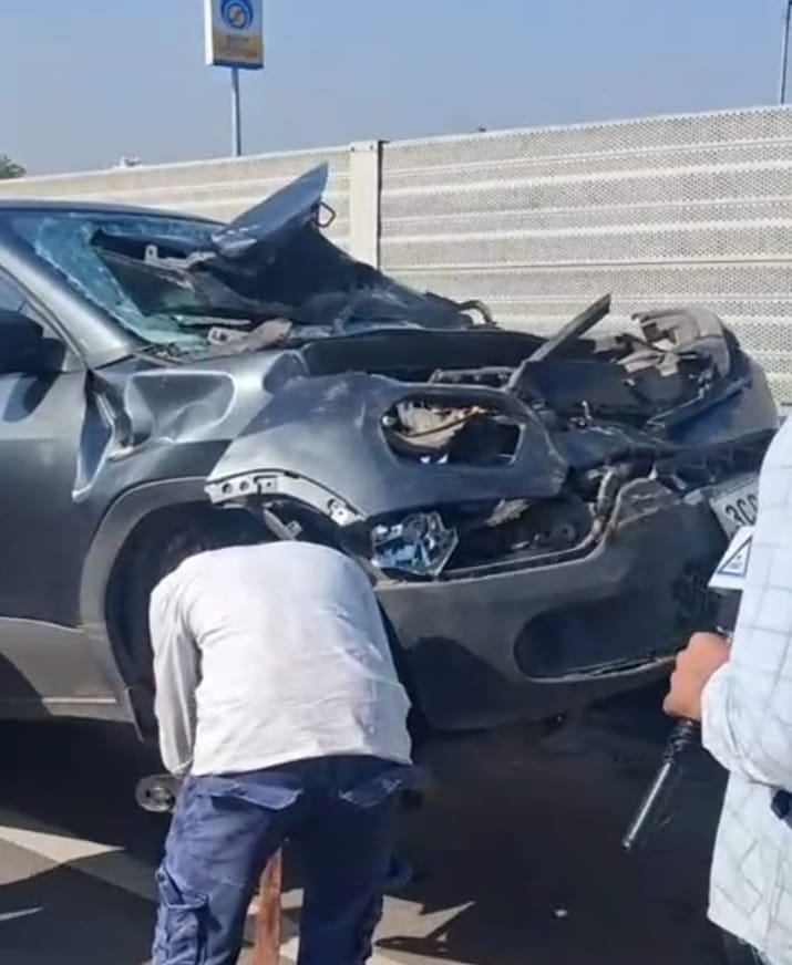 Car collides with cow on Delhi-Mumbai expressway, father-son saves children