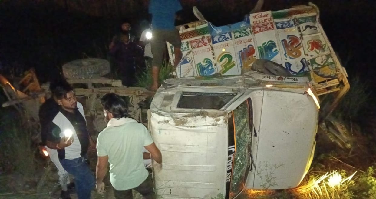 Max overturned after colliding with a truck, two cows died, four people were injured