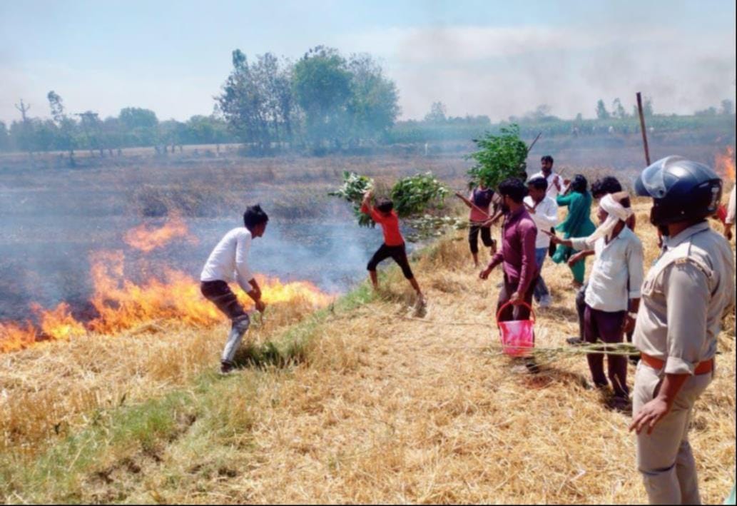 Fire broke out due to unknown reasons, eight bighas of wheat crop burnt.