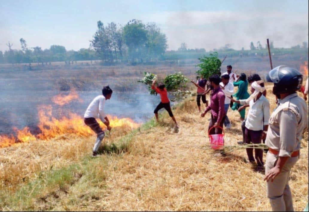 जमुनहा तहसील क्षेत्र में बेगमपुर गांव के पास गेहूं की फसल में लगी आग बुझाते दमकल कर्मी