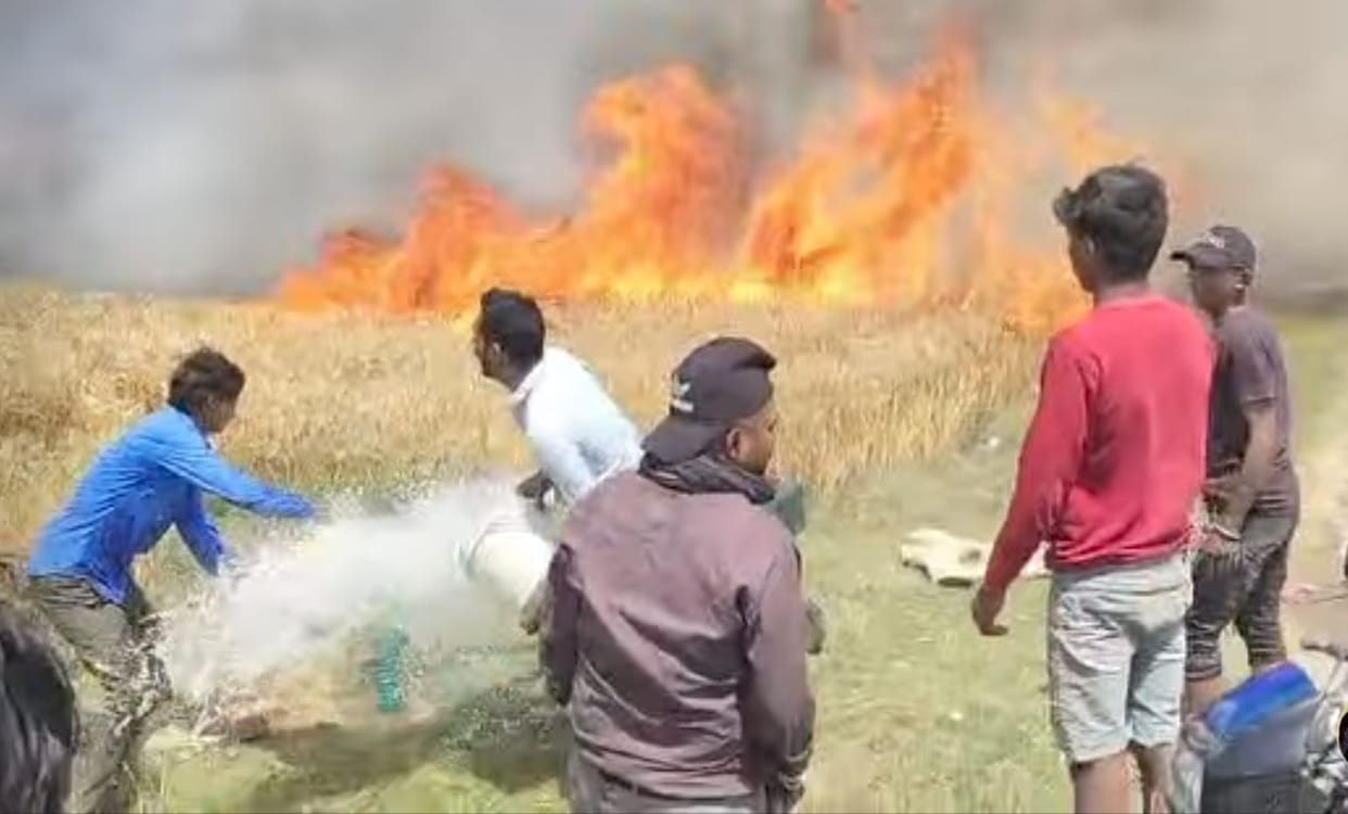 Wind ignited the fire, 52 bighas of wheat crop reduced to ashes