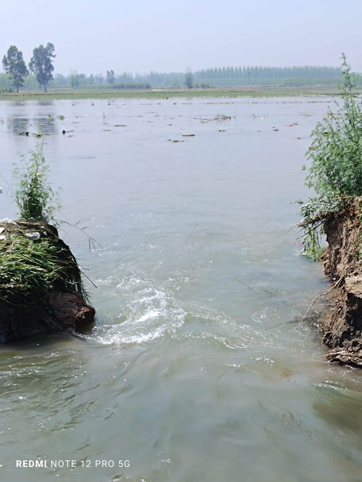 नारसन क्षेत्र में रजवाह टूटने के बाद किसानों के खेत में भरा पानी। स्रोत पाठक