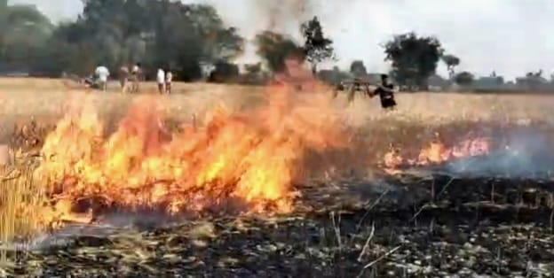 16 bigha wheat crop burnt to ashes due to fire in Siwan