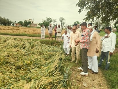 Learned of the farmers' plight; demanded compensation from the government.