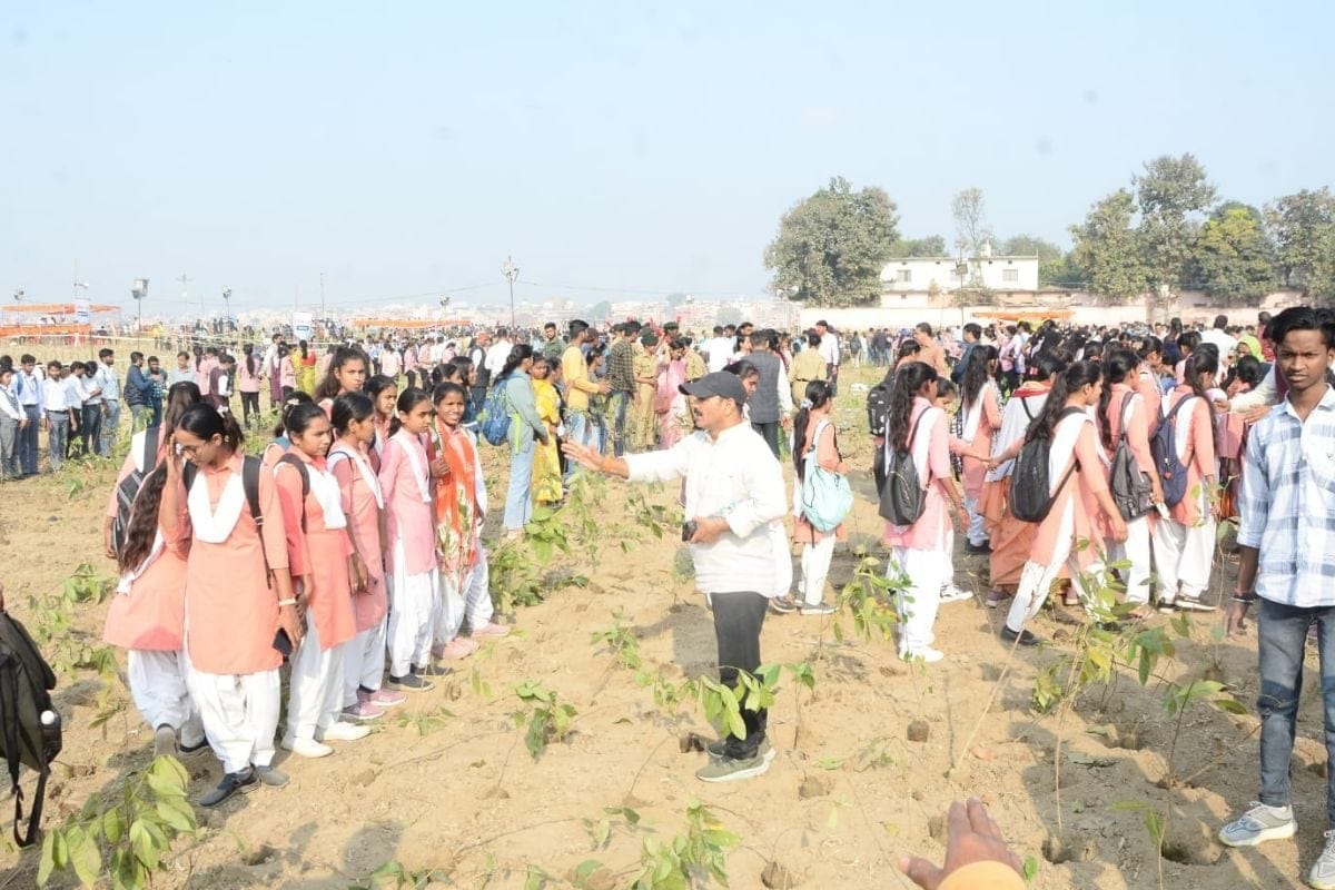 Raingun irrigation will protect plants from the heat in Domri