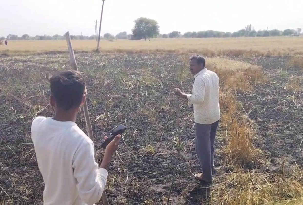 Five bighas of wheat crop burnt to ashes due to short circuit