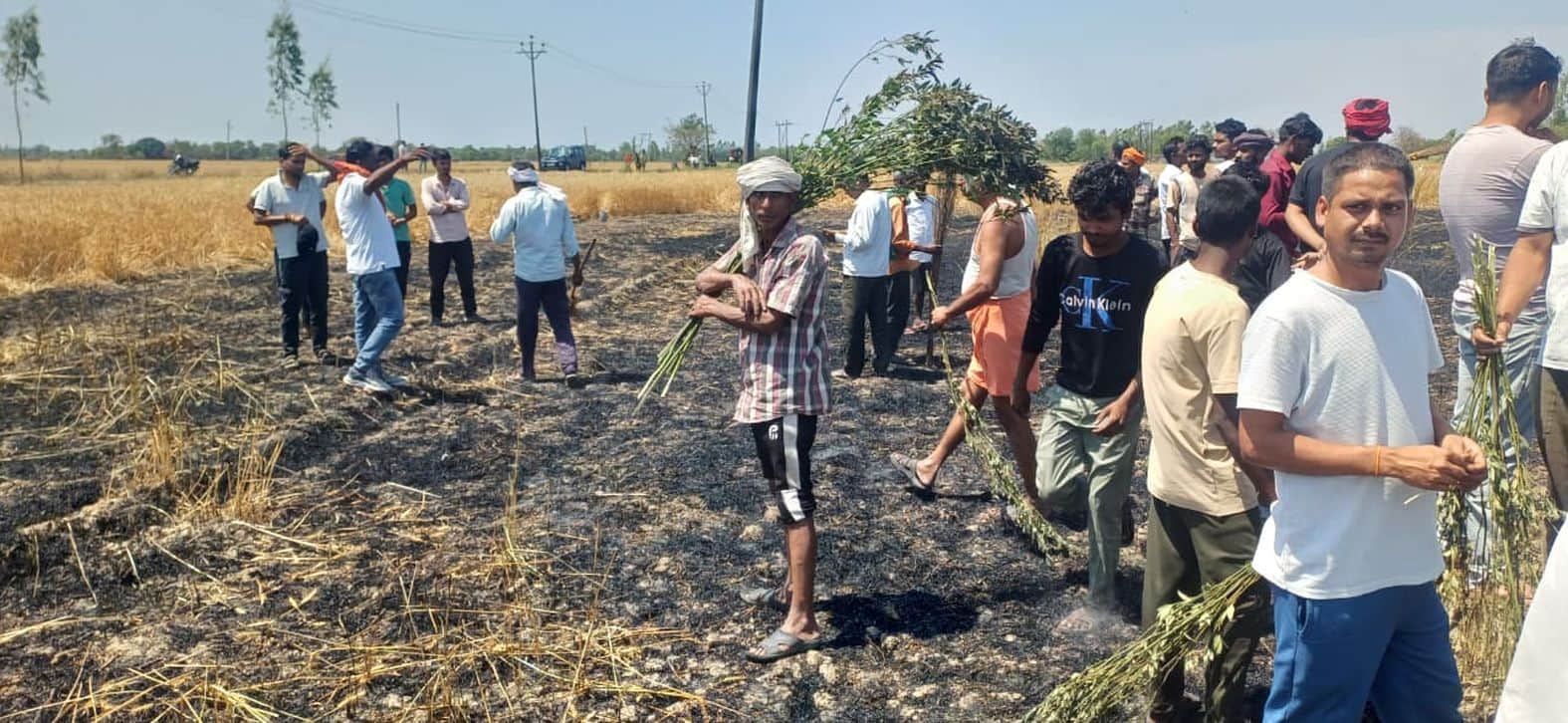 दोस्तपुर के खालिसपुर दुर्गा गांव में गेहूं की जली फसल। संवाद