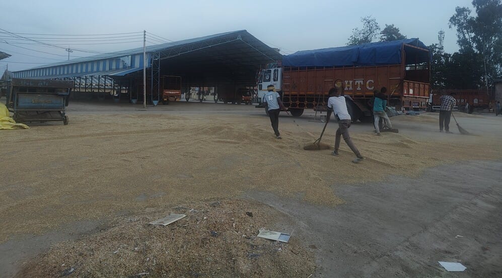 Government procurement of wheat could not be done in the grain market, moisture became a hurdle.