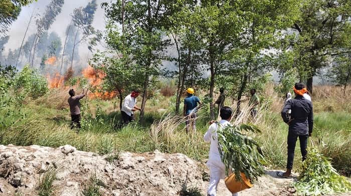 बरदह के अहिरौली गांव की बाग में ऊंची-ऊंची उठती आग की लपटें। संवाद