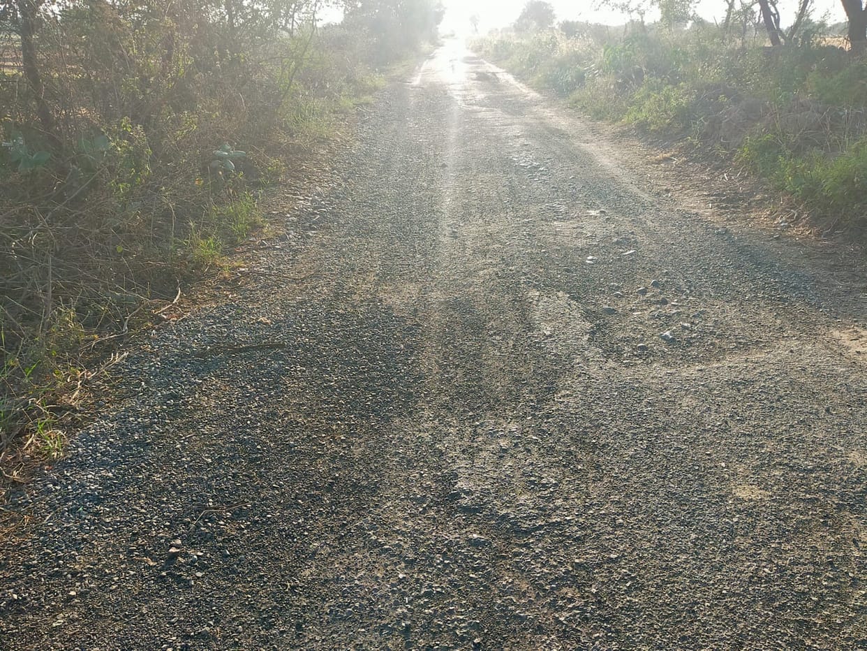 Waterlogging will not be a hindrance... A bridge will be built on the Babai-Damras road.