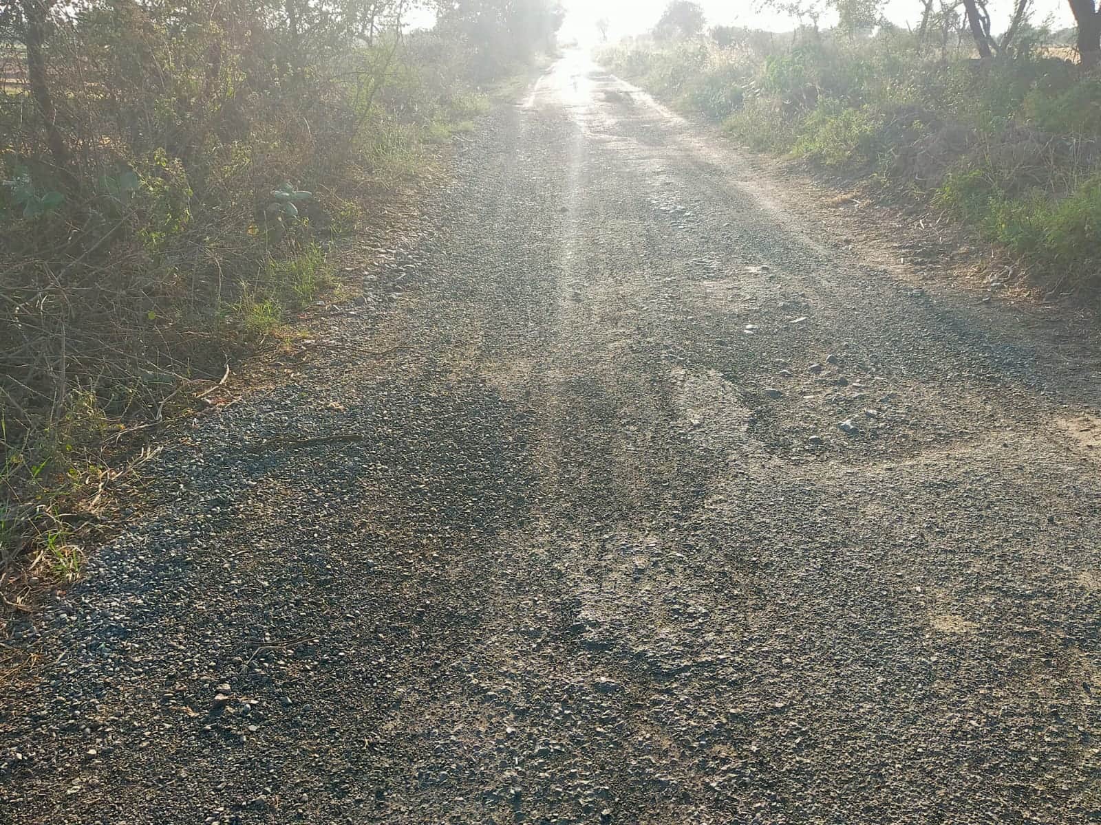 फोटो 35 इसी मार्ग पर बनेगा लघु सेतु