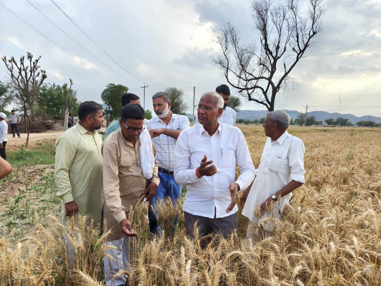 फोटो संख्या:75-महेंद्रगढ़ में  ओलावृष्टि से प्रभावित गांवों में  किसानों से जानकारी लेते विधाय