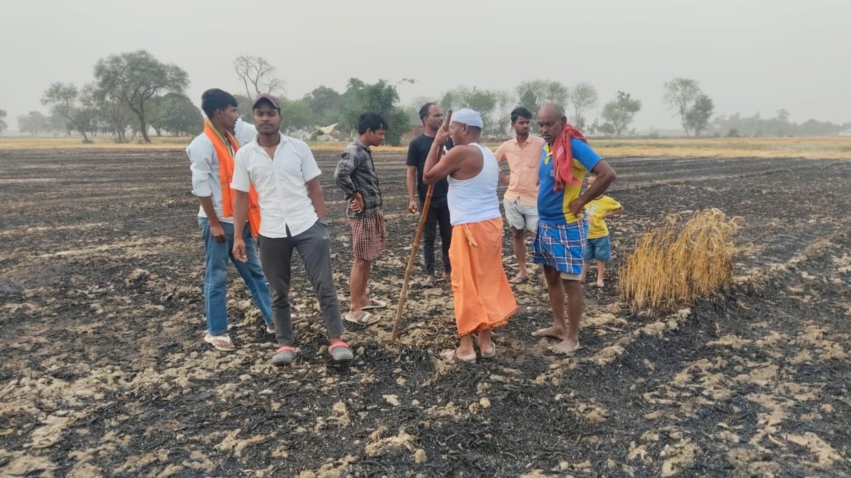A short circuit caused a fire, reducing 26 bighas of wheat crop to ashes.