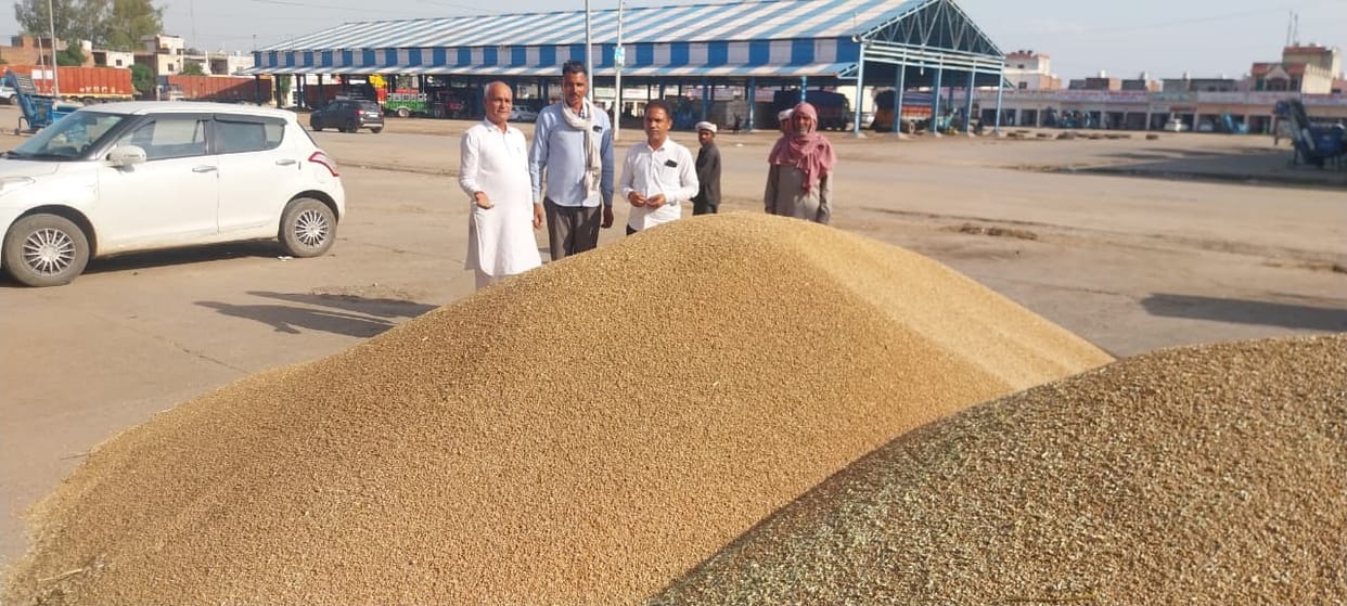 Wheat began arriving at the grain market, but procurement did not begin on the second day.