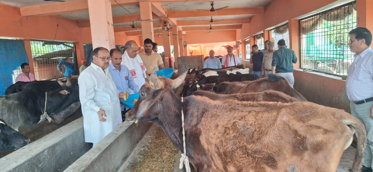 Instructions to Identify Land for Green Fodder
