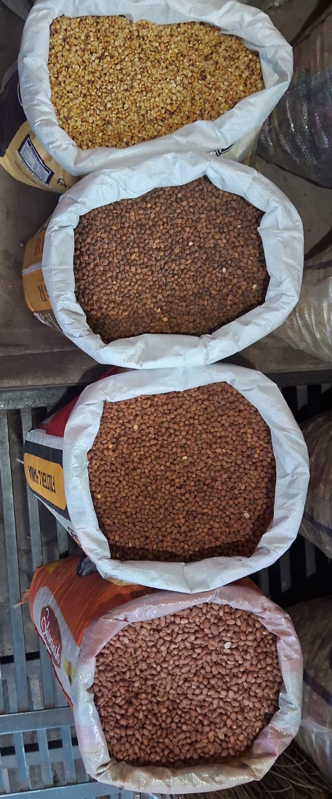 Pulses are disappearing from the plates of common people due to inflation.