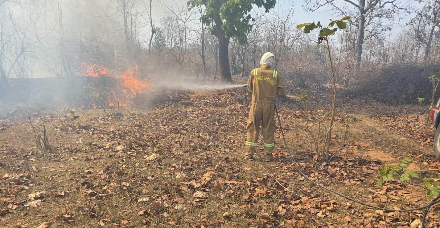नौगढ़ के जंगल में लगी आग को बुझाते फायरकर्मी। स्रोत:-जागरूक पाठक