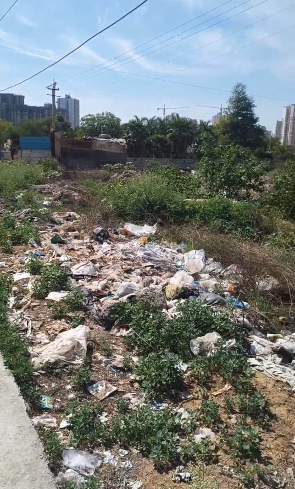 न्यू गुरुग्राम का बदहाल ग्रीन बेल्ट , आरडब्ल्यूए द्वारा पत्र की खबर के साथ । आरडब्ल्यूए