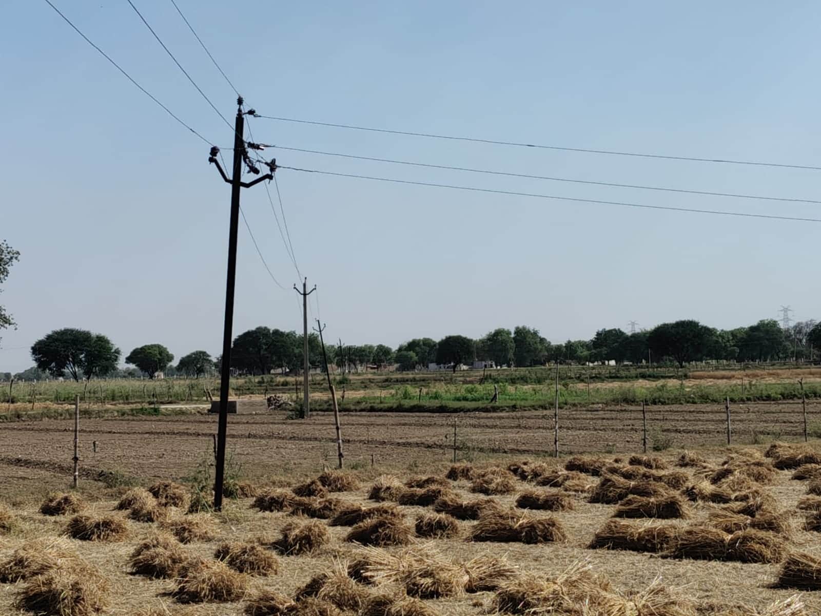 सहपऊ में खेतों के ऊपर से जा रही हाईटेंशन विद्युत लाइन। संवाद।