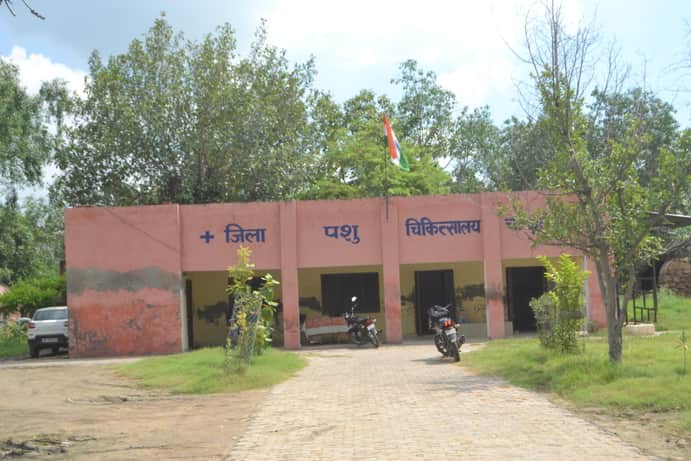 दादरी जिला मुख्यालय पर स्थित पशु अस्पताल। 