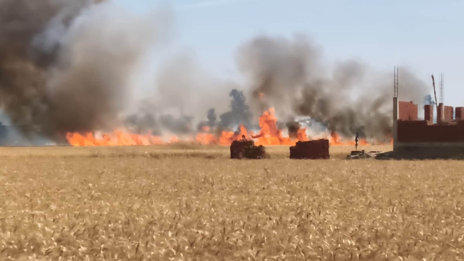 दुधारा के सीवान में लगी आग। संवाद