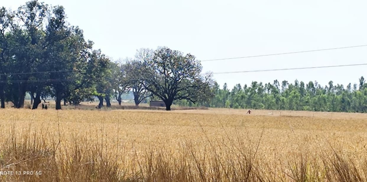 A new industrial zone will be developed on 48.157 hectares of land