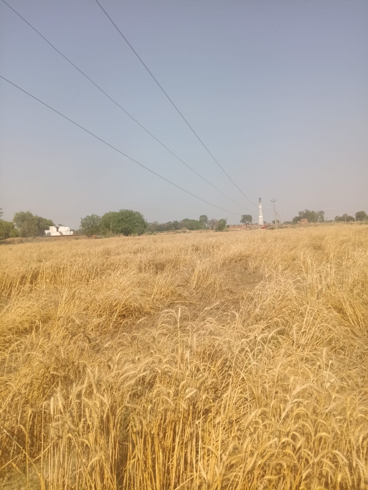 The hard work of farmers burning hanging wires