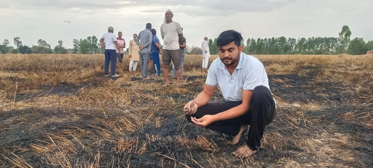 Three Acres of Wheat Crop Destroyed in Fire; Compensation Demanded