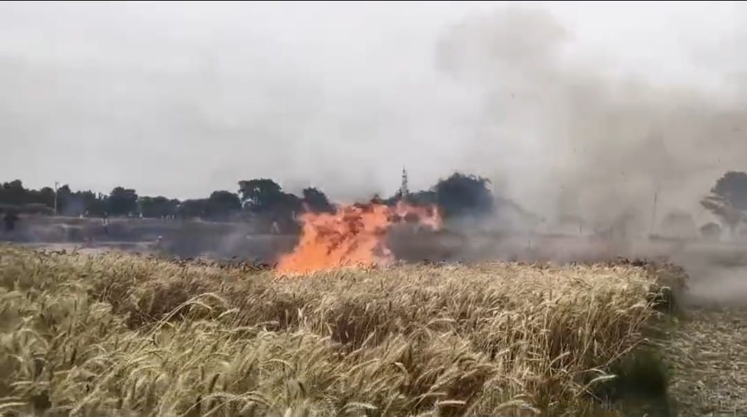 Intense fire in the fields, more than six acres of crops burned