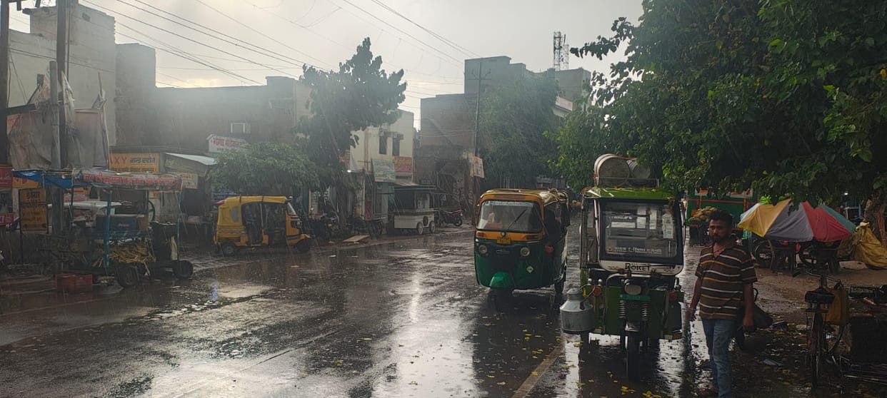 Rain with strong winds, wheat in trouble