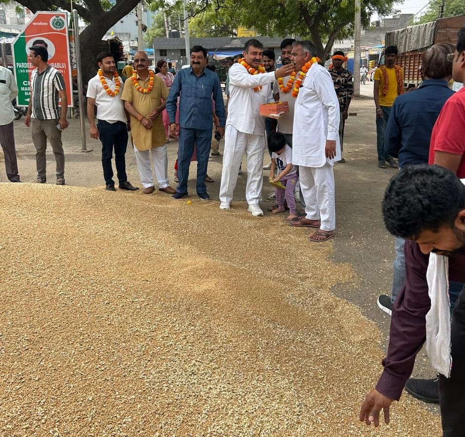 Government wheat procurement begins at grain market, 70 quintals purchased on the first day