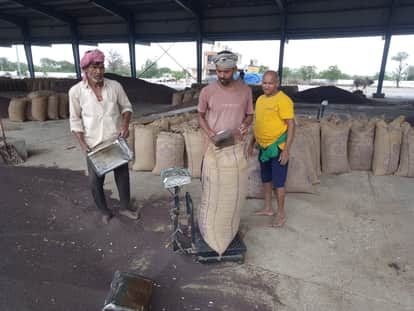 For the first time, gate pass exceeded 100, mustard was sold outside the market