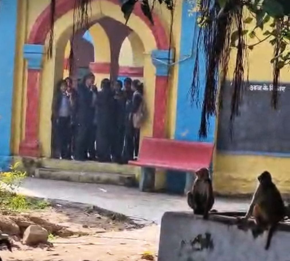 Relief from the monkey menace coming soon; Municipal Council issues work order.