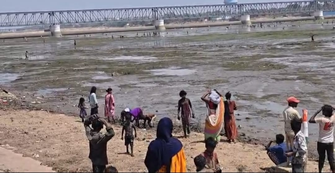 phalgu river fish loot after water release rubber dam gaya administration warning crowd ground report