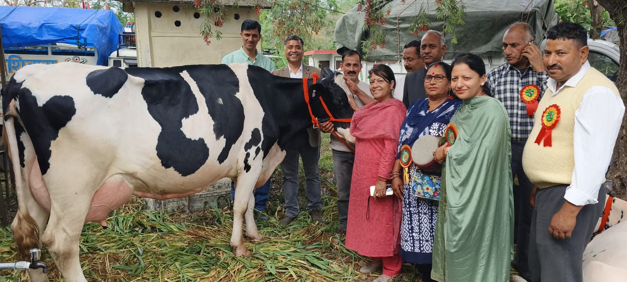 animal fair in bilaspur