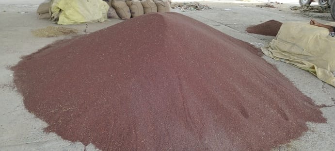 Mustard purchased four days ago is lying in the market, farmers are worried due to change in agency