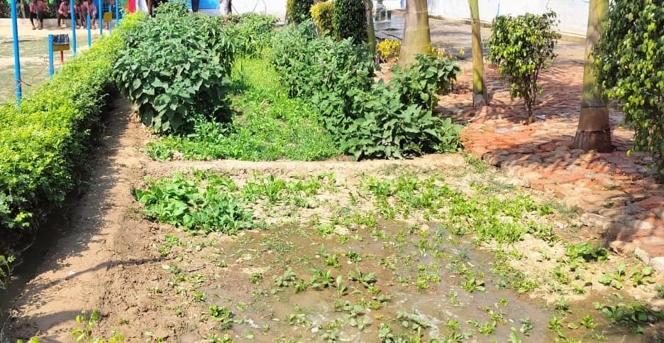 Government School Students in Agra to Grow Vegetables for Mid-Day Meals