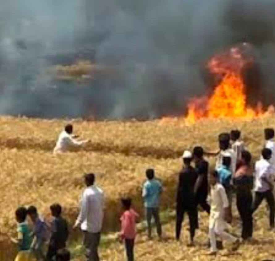 Fire breaks out in field; approximately 30 acres of crops burnt.