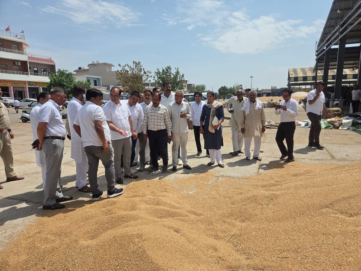 Government procurement of 8,219 quintals of wheat took place for the first time at the Kosli Mandi.
