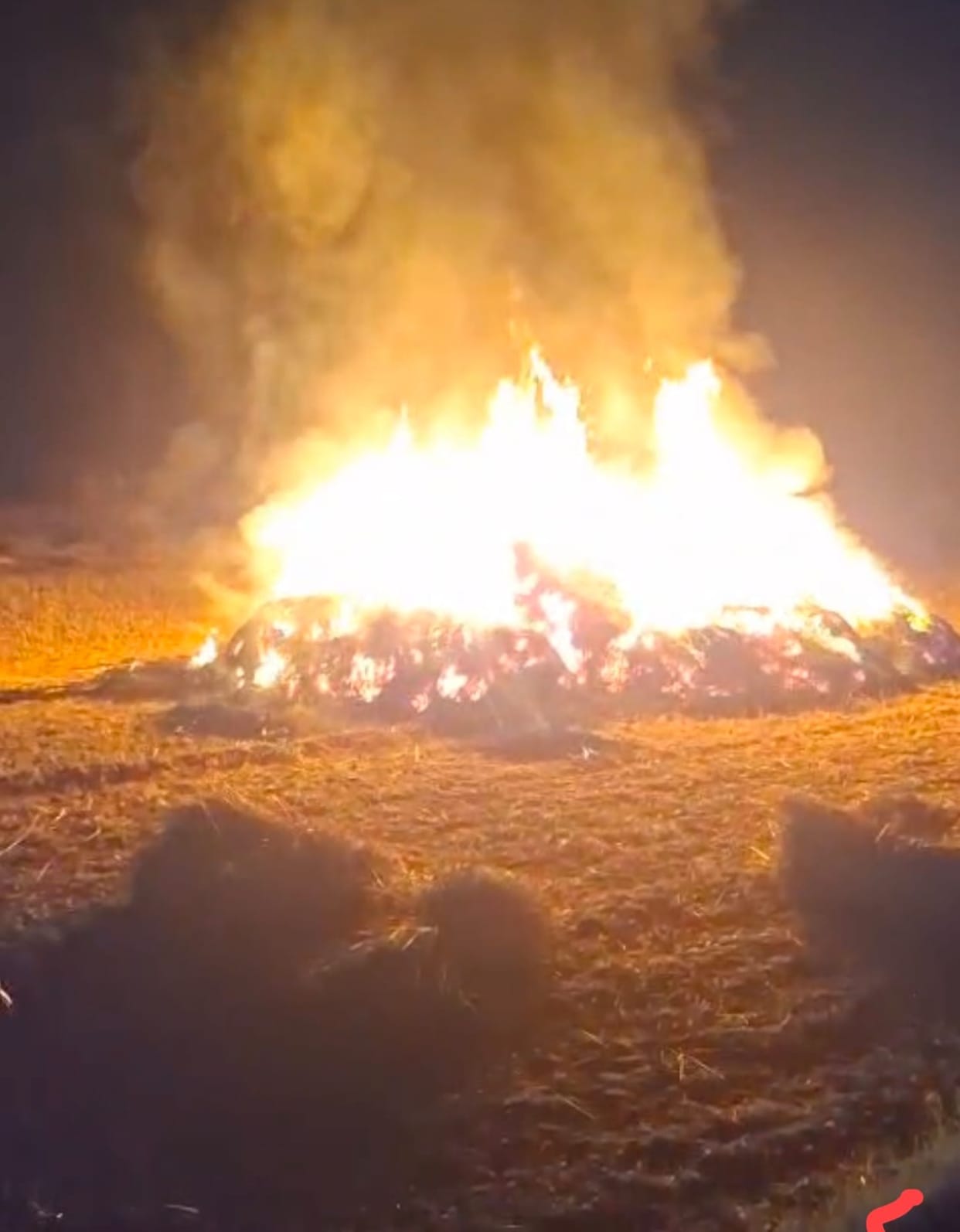 fire in wheat field