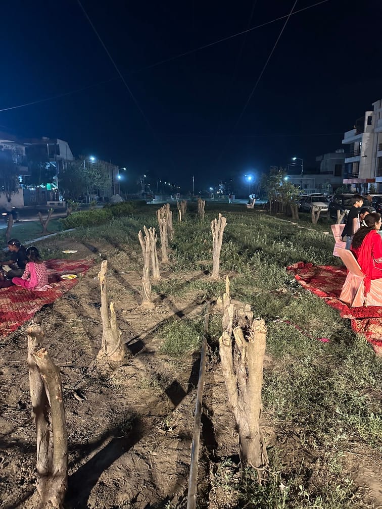 Accused of cutting trees citing touching the wire