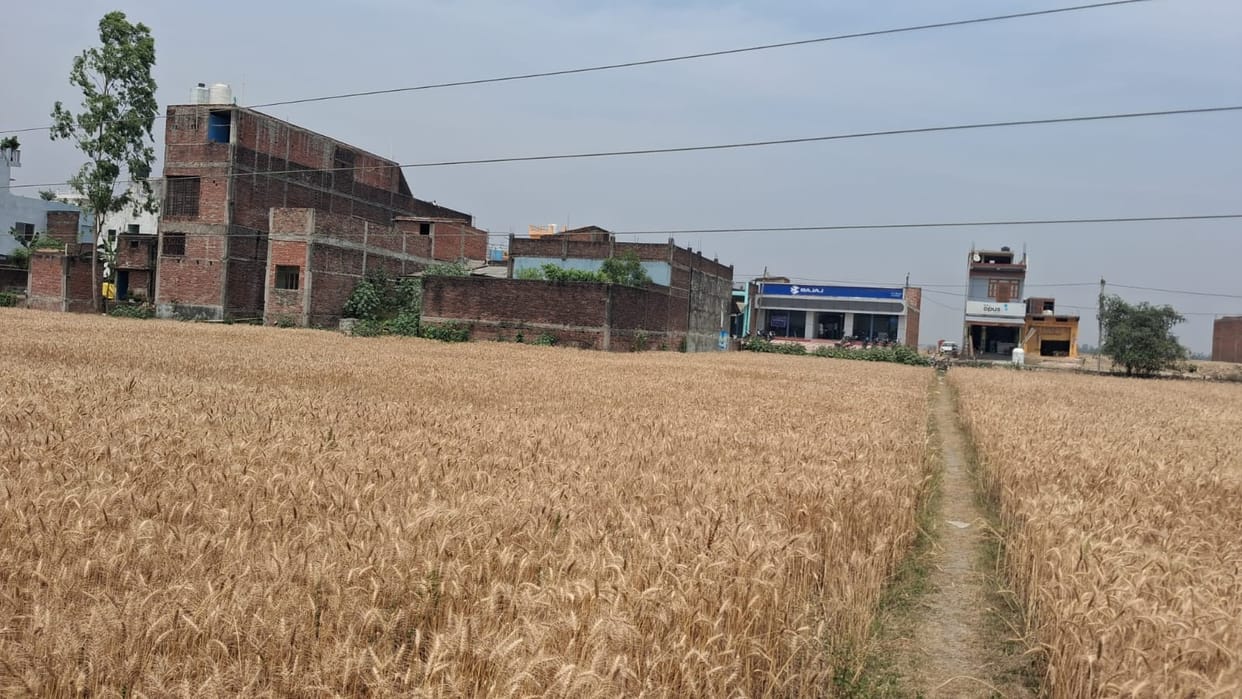 Loose electrical wires are causing fires...farmers' dreams are turning to ashes.