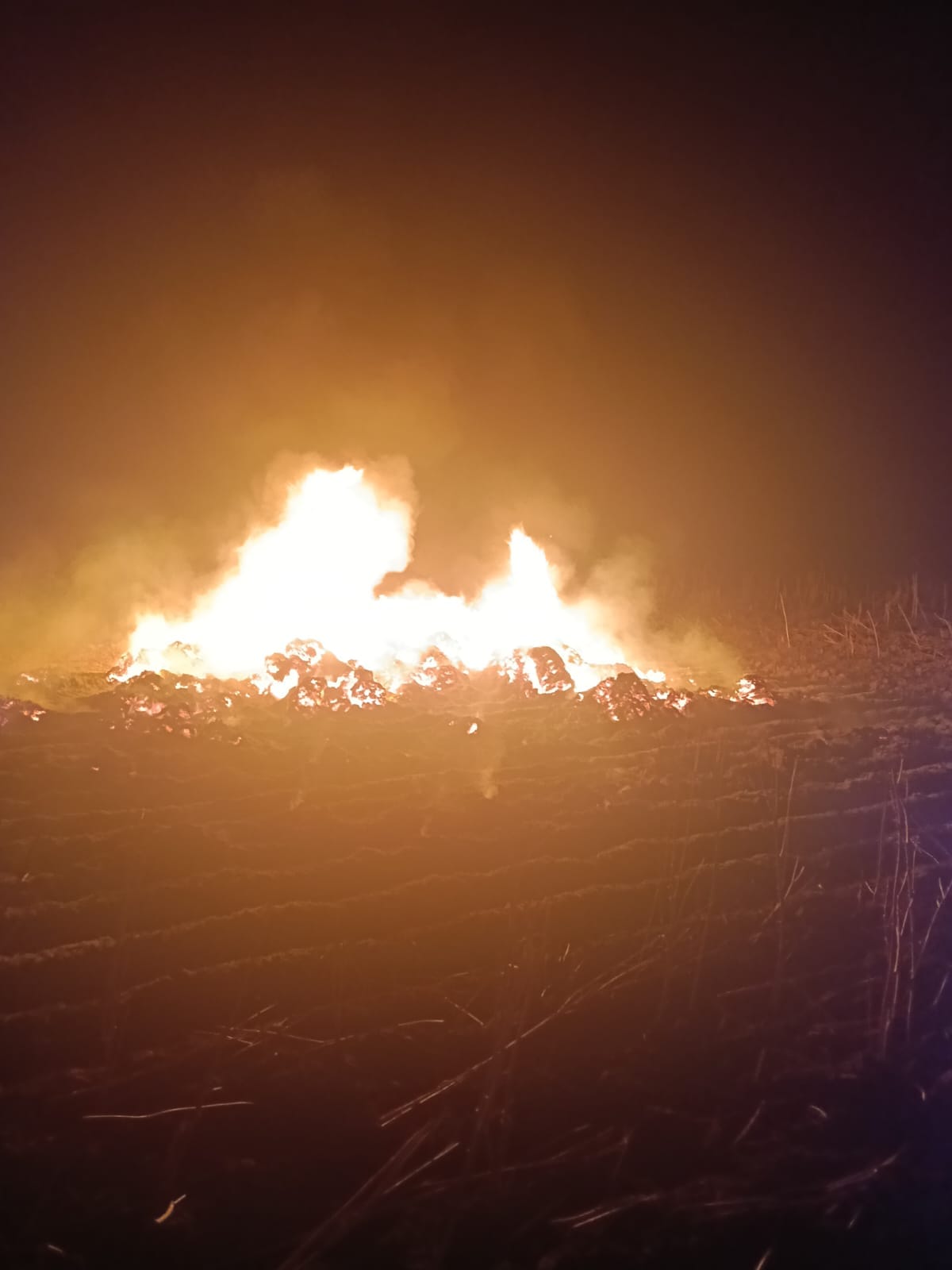Mustard cake fire in Rasiyawas village