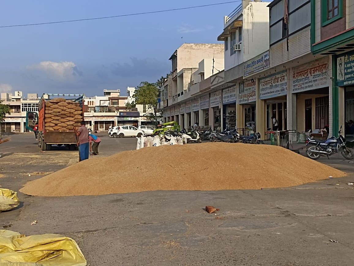 Four thousand quintals of wheat arrived in the market, but remained unsold due to moisture.